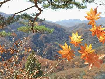 山东风景区旅游TOP8，从山海胜境到文化圣城，解锁齐鲁绝美风光