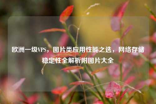 欧洲一级VPS，图片类应用性能之选，网络存储稳定性全解析附图片大全