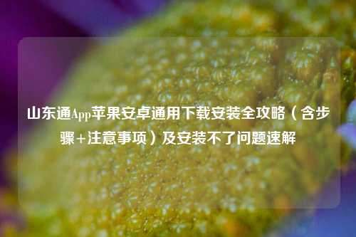 山东通App苹果安卓通用下载安装全攻略（含步骤+注意事项）及安装不了问题速解
