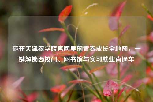 藏在天津农学院官网里的青春成长全地图，一键解锁西校门、图书馆与实习就业直通车