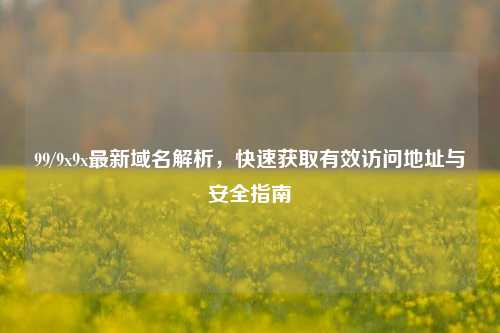 99/9x9x最新域名解析，快速获取有效访问地址与安全指南