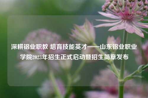 深耕铝业职教 培育技能英才——山东铝业职业学院2023年招生正式启动暨招生简章发布