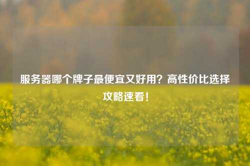服务器哪个牌子最便宜又好用？高性价比选择攻略速看！