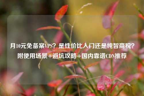 月10元免备案VPS？是性价比入门还是纯智商税？附使用场景+避坑攻略+国内靠谱CDN推荐