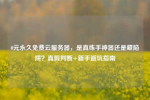 0元永久免费云服务器，是真练手神器还是藏陷阱？真假判断+新手避坑指南
