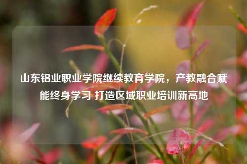 山东铝业职业学院继续教育学院，产教融合赋能终身学习 打造区域职业培训新高地
