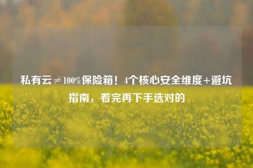 私有云≠100%保险箱！4个核心安全维度+避坑指南，看完再下手选对的
