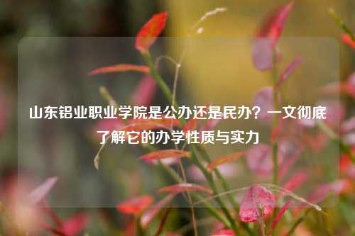 山东铝业职业学院是公办还是民办？一文彻底了解它的办学性质与实力