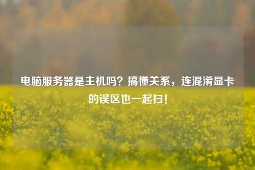 电脑服务器是主机吗？搞懂关系，连混淆显卡的误区也一起扫！