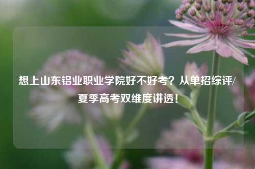 想上山东铝业职业学院好不好考？从单招综评/夏季高考双维度讲透！