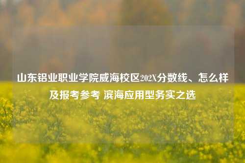 山东铝业职业学院威海校区202X分数线、怎么样及报考参考 滨海应用型务实之选