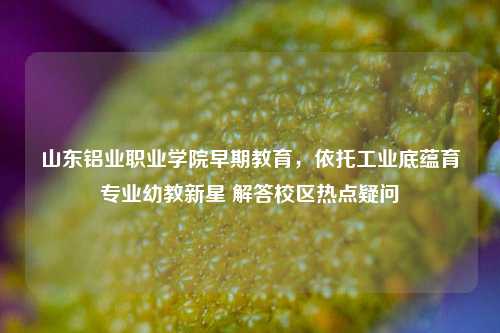 山东铝业职业学院早期教育，依托工业底蕴育专业幼教新星 解答校区热点疑问