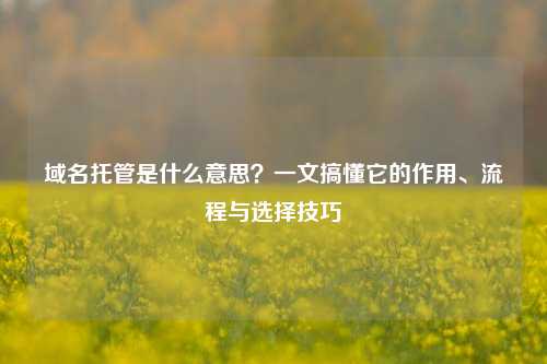 域名托管是什么意思？一文搞懂它的作用、流程与选择技巧