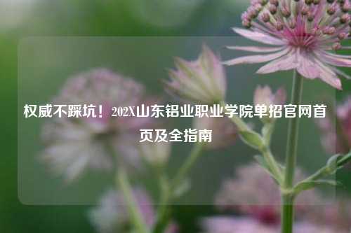 权威不踩坑！202X山东铝业职业学院单招官网首页及全指南