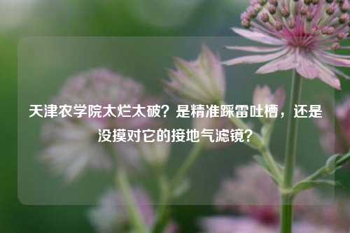 天津农学院太烂太破？是精准踩雷吐槽，还是没摸对它的接地气滤镜？