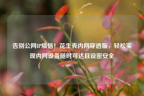 告别公网IP烦恼！花生壳内网穿透版，轻松实现内网设备随时可达且设密安全
