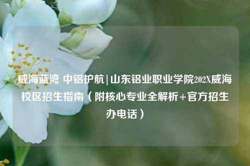 威海蓝湾 中铝护航|山东铝业职业学院202X威海校区招生指南（附核心专业全解析+官方招生办电话）