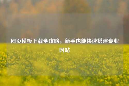 网页模板下载全攻略，新手也能快速搭建专业网站