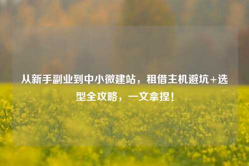 从新手副业到中小微建站，租借主机避坑+选型全攻略，一文拿捏！