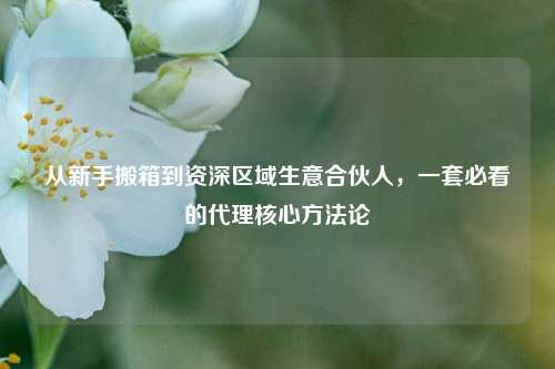 从新手搬箱到资深区域生意合伙人，一套必看的代理核心方法论