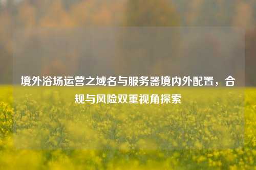 境外浴场运营之域名与服务器境内外配置，合规与风险双重视角探索