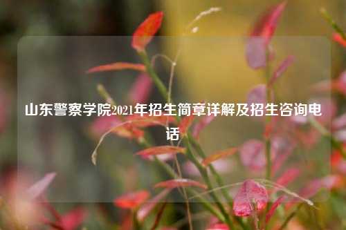 山东警察学院2021年招生简章详解及招生咨询电话