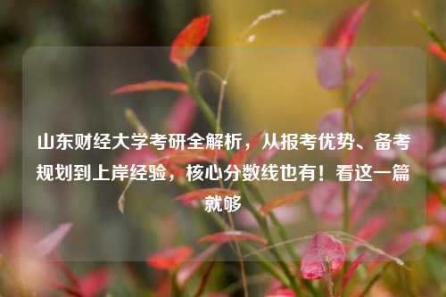 山东财经大学考研全解析，从报考优势、备考规划到上岸经验，核心分数线也有！看这一篇就够