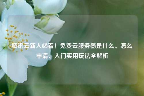 腾讯云新人必看！免费云服务器是什么、怎么申请、入门实用玩法全解析