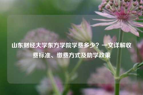 山东财经大学东方学院学费多少?一文详解收费标准、缴费方式及助学政策
