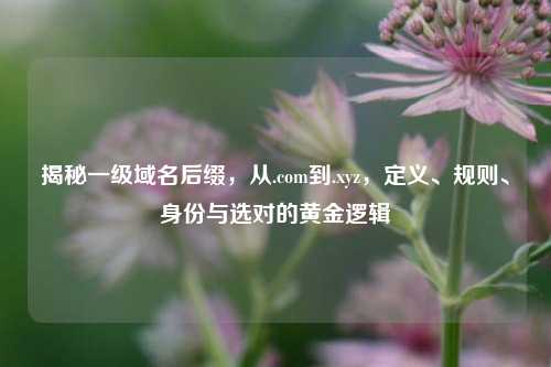 揭秘一级域名后缀，从.com到.xyz，定义、规则、身份与选对的黄金逻辑