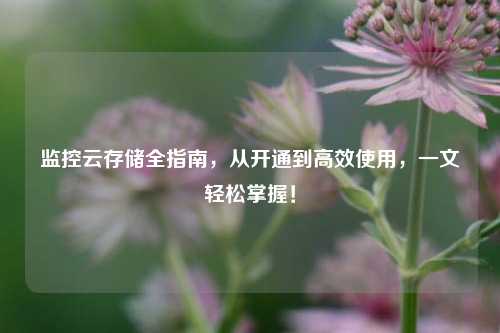 监控云存储全指南,从开通到高效使用,一文轻松掌握!