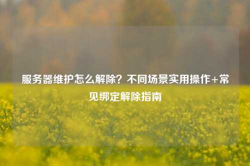 服务器维护怎么解除？不同场景实用操作+常见绑定解除指南