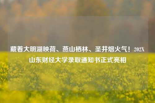 藏着大明湖映荷、燕山栖林、圣井烟火气！202X山东财经大学录取通知书正式亮相
