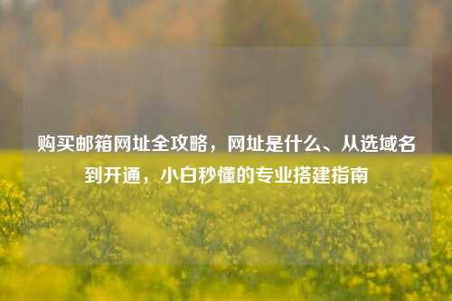 购买邮箱网址全攻略，网址是什么、从选域名到开通，小白秒懂的专业搭建指南