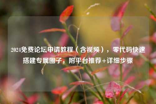 2024免费论坛申请教程（含视频），零代码快速搭建专属圈子，附平台推荐+详细步骤