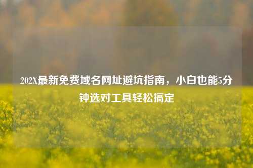 202X最新免费域名网址避坑指南，小白也能5分钟选对工具轻松搞定