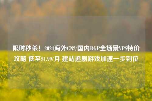 限时秒杀！2024海外CN2/国内BGP全场景VPS特价攻略 低至$1.99/月 建站追剧游戏加速一步到位