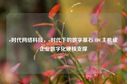 e时代网络科技，e时代下的数字基石 IDC主机成企业数字化硬核支撑