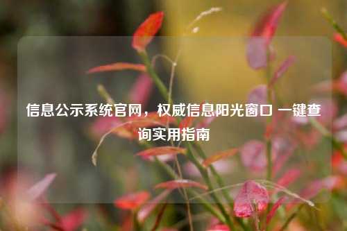 信息公示系统官网，权威信息阳光窗口 一键查询实用指南