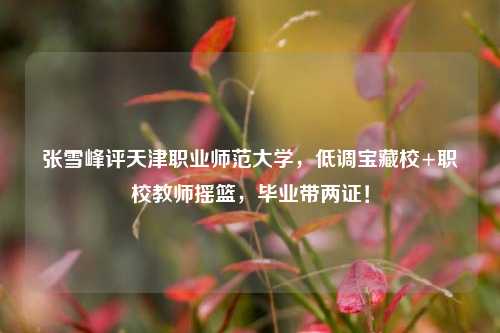 张雪峰评天津职业师范大学，低调宝藏校+职校教师摇篮，毕业带两证！