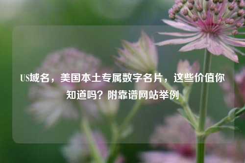 US域名，美国本土专属数字名片，这些价值你知道吗？附靠谱网站举例