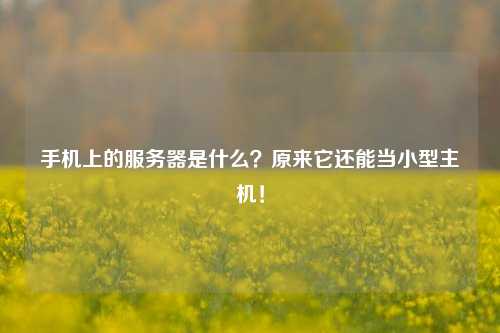 手机上的服务器是什么？原来它还能当小型主机！