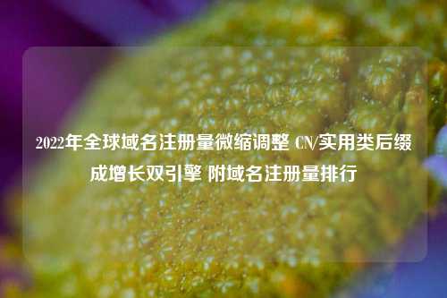 2022年全球域名注册量微缩调整 CN/实用类后缀成增长双引擎 附域名注册量排行