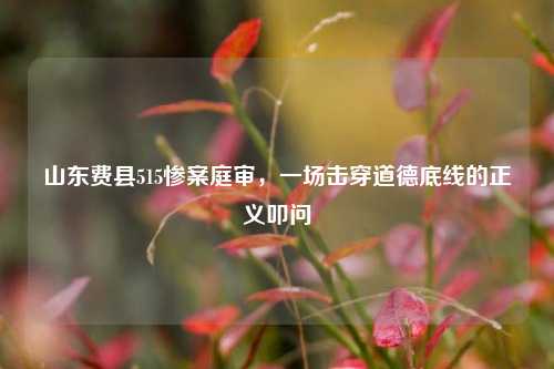 山东费县515惨案庭审，一场击穿道德底线的正义叩问