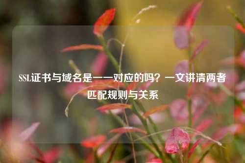 SSL证书与域名是一一对应的吗？一文讲清两者匹配规则与关系