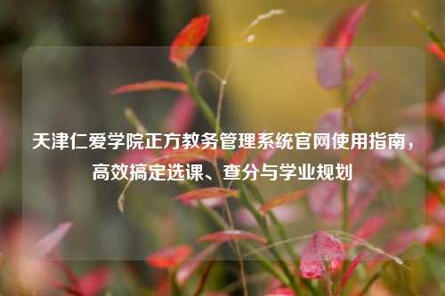 天津仁爱学院正方教务管理系统官网使用指南，高效搞定选课、查分与学业规划