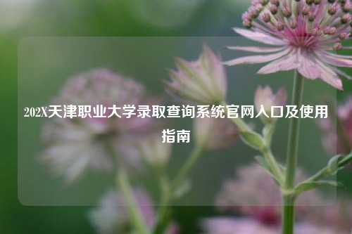 202X天津职业大学录取查询系统官网入口及使用指南