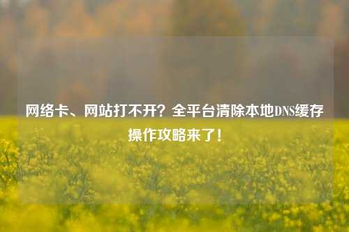 网络卡、网站打不开？全平台清除本地DNS缓存操作攻略来了！