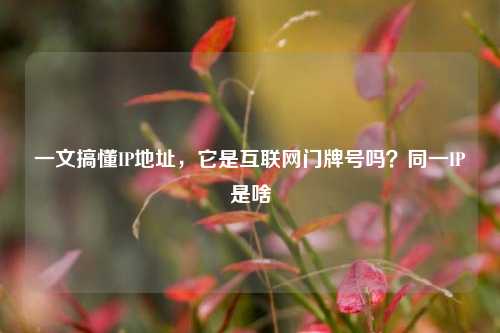 一文搞懂IP地址，它是互联网门牌号吗？同一IP是啥