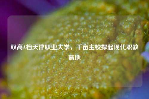 双高A档天津职业大学，千亩主校撑起现代职教高地